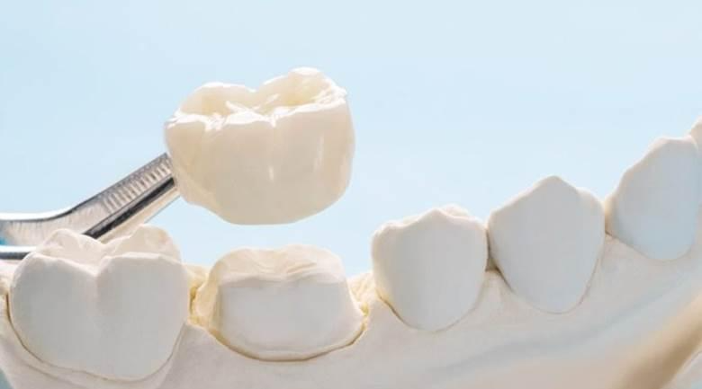DAmico Dental Care - General Dentistry - In 2025, general dentistry in Watertown and Wayland offers advanced, comprehensive care—this guide covers the latest innovations, common services, and tips for choosing top dentists.