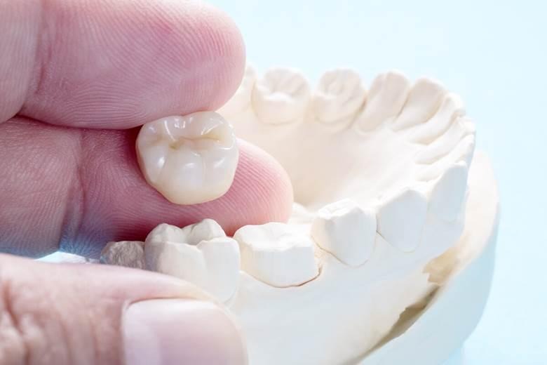 Adult Dentistry: Prevention & Maintenance for Life in Wayland - Watertown